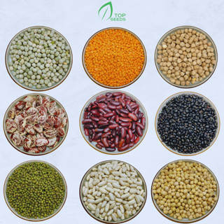 Các loại đậu, đỗ: đậu gà, đậu đen xanh lòng, đậu lăng, đậu xanh, đậu hà lan sạch nấu chè, nấu cháo, sữa hạt dinh dưỡng