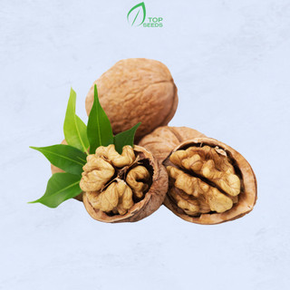 Hạt Óc Chó Mỹ Cao Cấp 500g