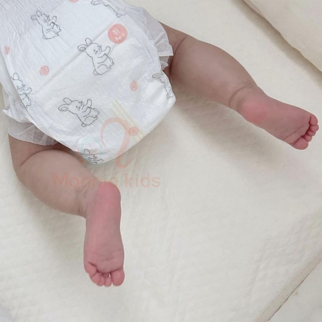 Bỉm dán cho bé Momo Rabbit Eco Singsing S36 M32 L30, tã dán siêu mỏng thấm hút tốt - Monnie Kids