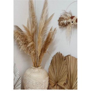 Bông lau xám , Bông lau ,cỏ lau khô, hoa khô trang trí decor nhà, trang trí shop,spa,trang trí tiệc cưới sự kiện
