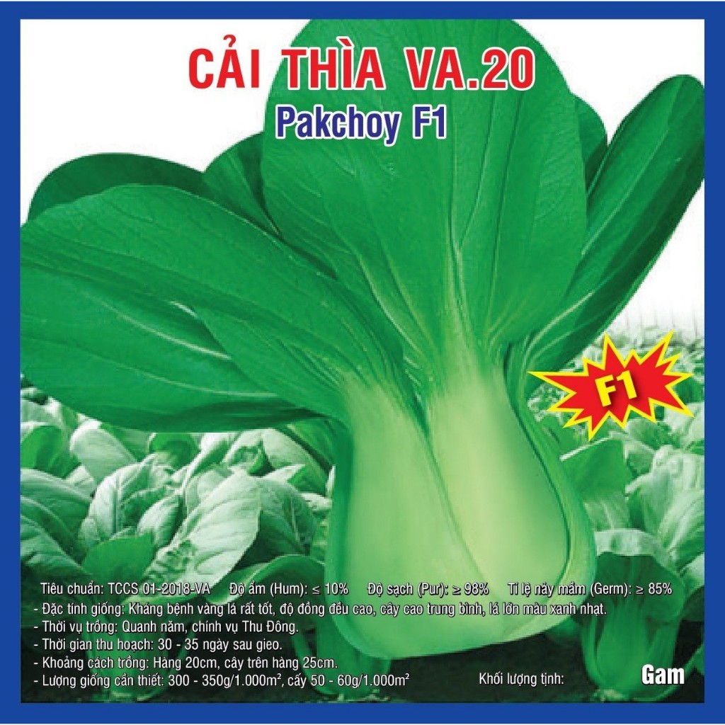 Hạt giống Cải Thìa F1 (VA.20)