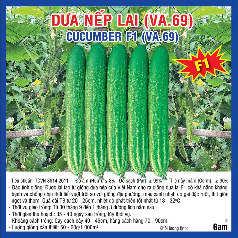 Hạt giống Dưa Nếp Lai F1 (VA.69) 10 gam