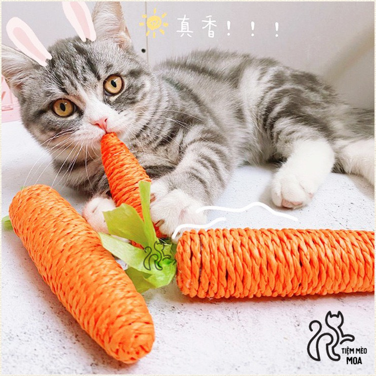 Cà rốt nhỏ cào móng cho mèo - Đồ chơi cho mèo - Tiệm Mèo Moa