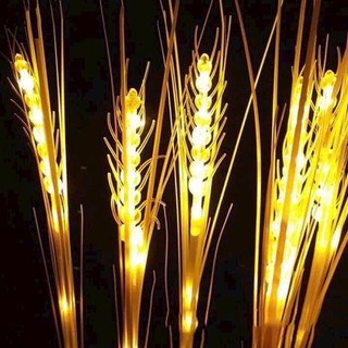 BỘ ĐÈN LED BÔNG LÚA MẠCH 10 BÓ MÀU VÀNG