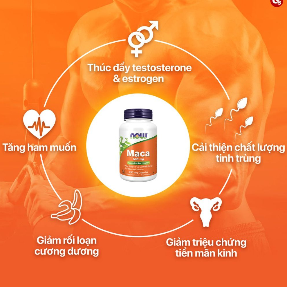 Viên uống hỗ trợ sinh lý Now Maca 500mg của Mỹ, tăng cường sinh lực, cân bằng hormone nam nữ