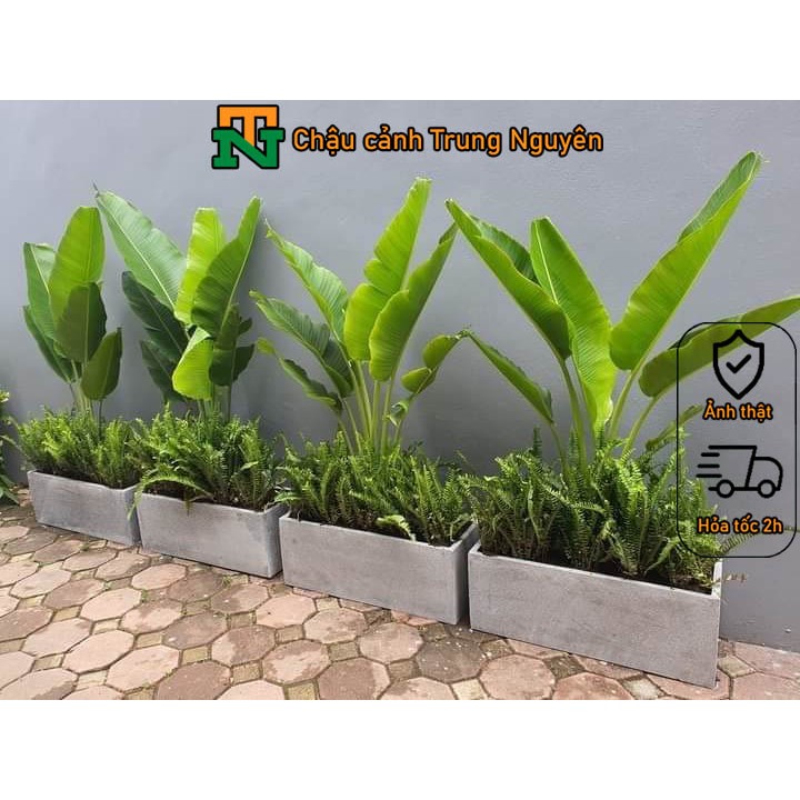 Chậu đá mài hình chữ nhật chậu trồng cây chiều dài 40 - 1m