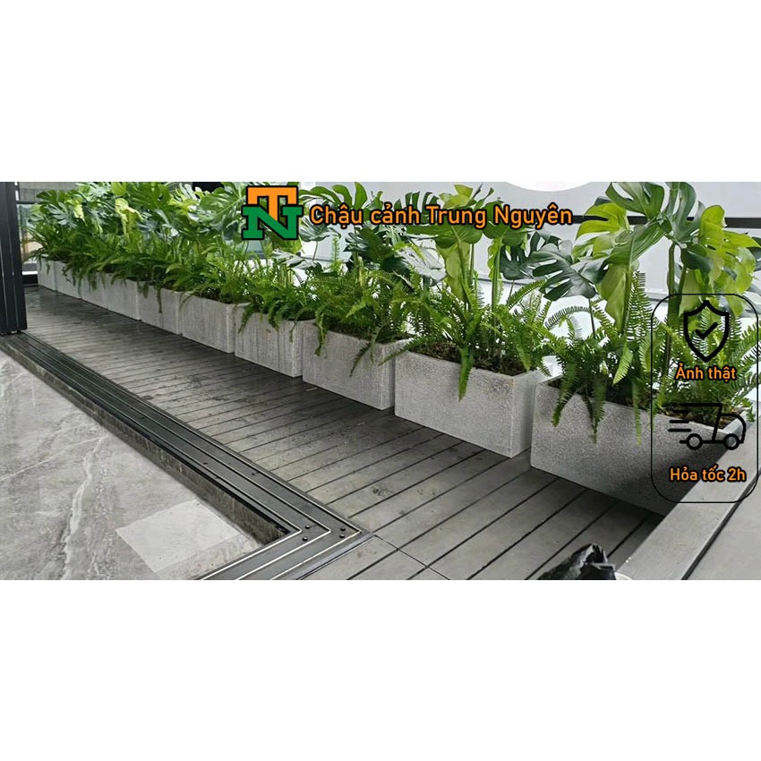 Chậu đá mài hình chữ nhật chậu trồng cây chiều dài 40 - 1m