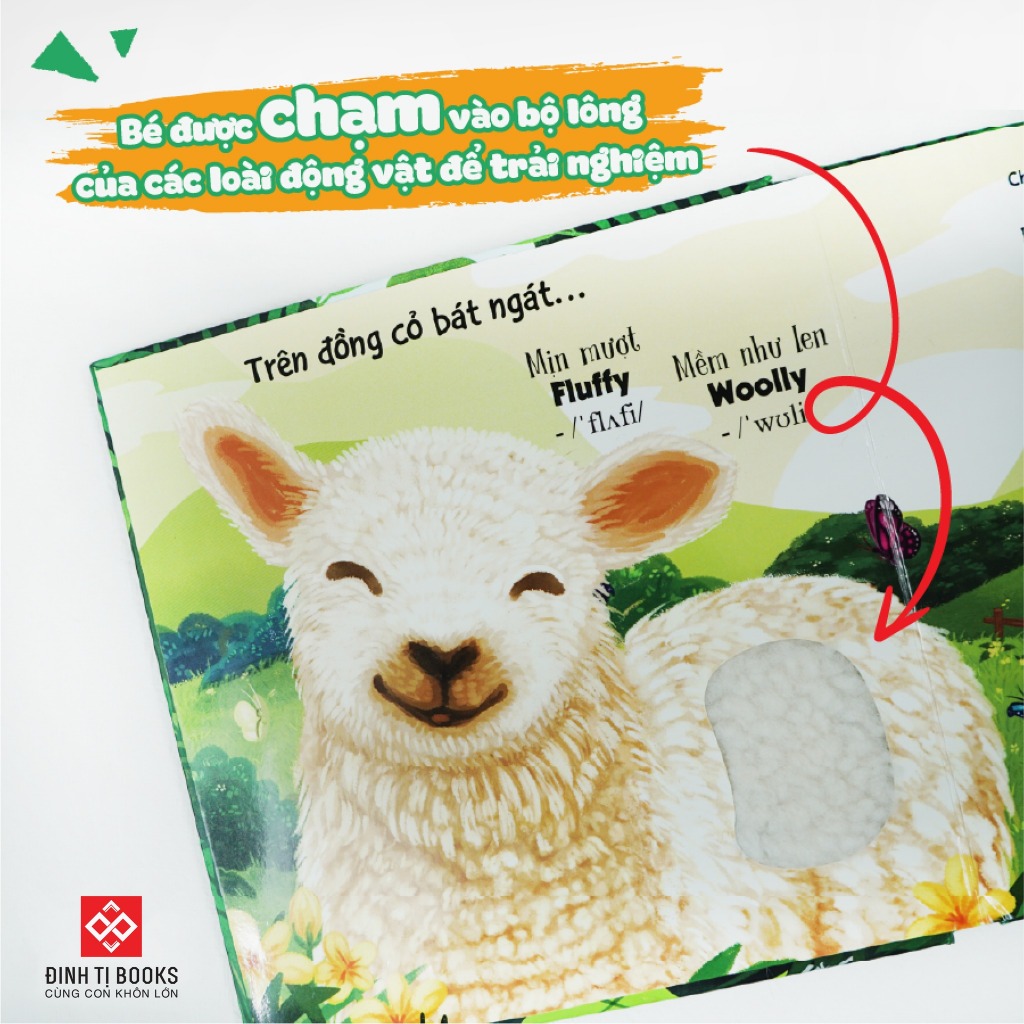 Sách thiếu nhi - Touch and Feel - Sách Sờ chạm khám phá - Thế giới động vật