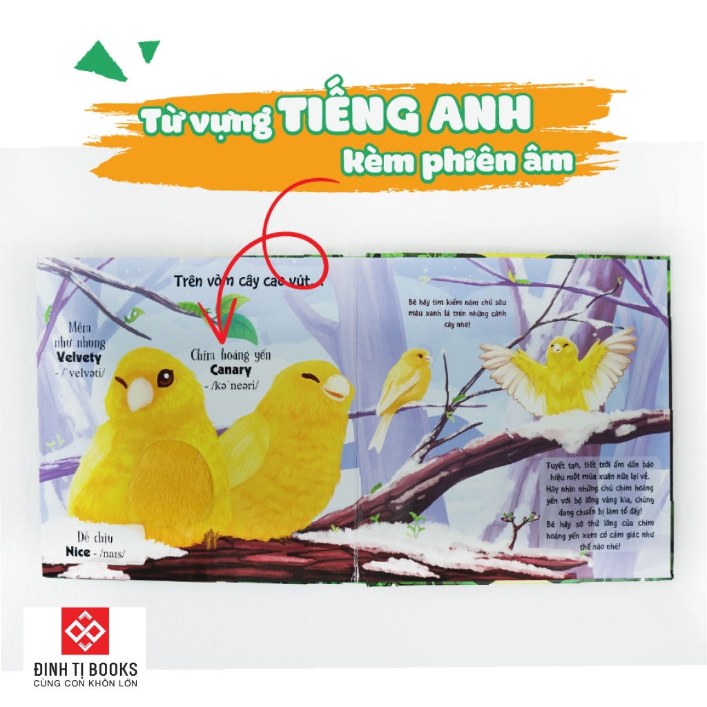 Sách thiếu nhi - Touch and Feel - Sách Sờ chạm khám phá - Thế giới động vật