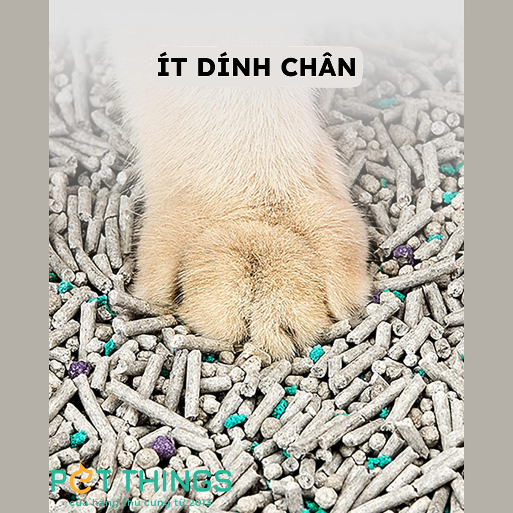 Cát Vệ Sinh Mèo PETKIT 5 TRONG 1, 3.6kg / 7L