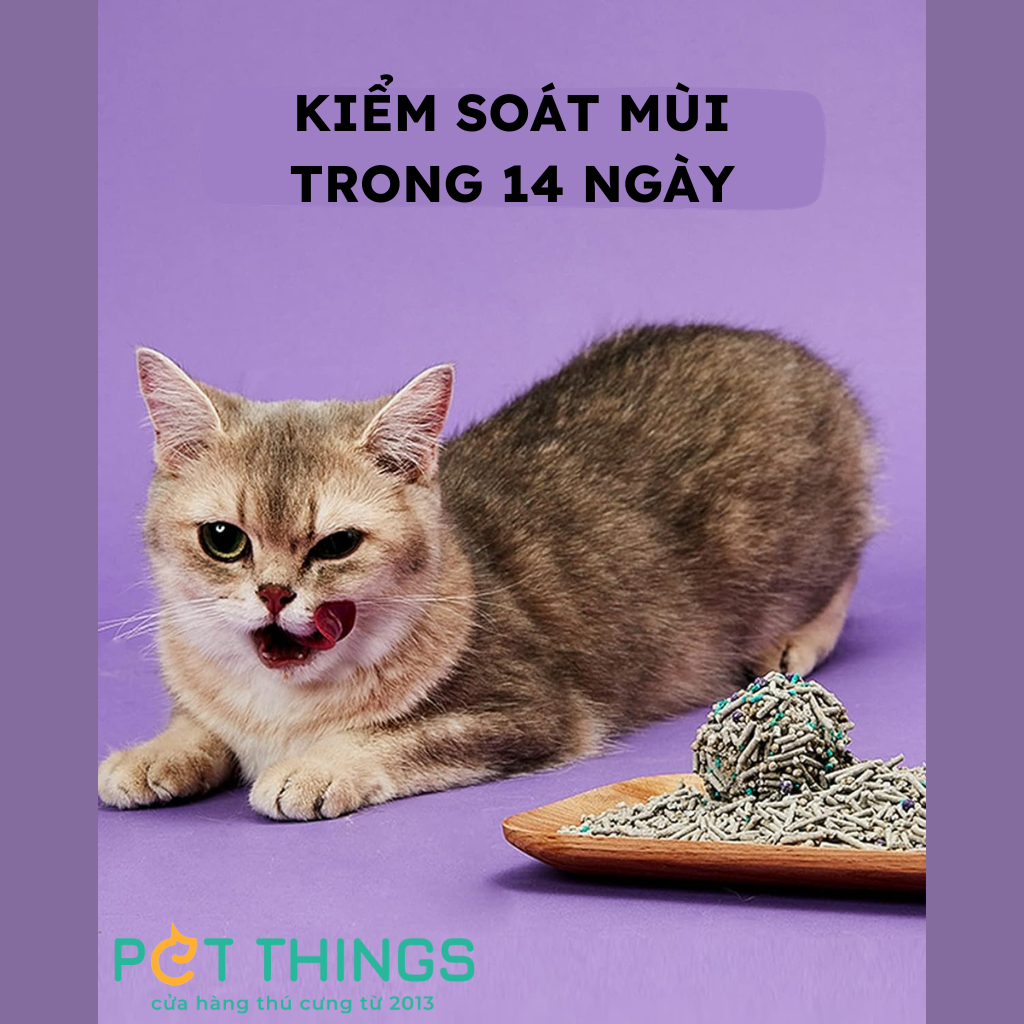 Cát Vệ Sinh Mèo PETKIT 5 TRONG 1, 3.6kg / 7L
