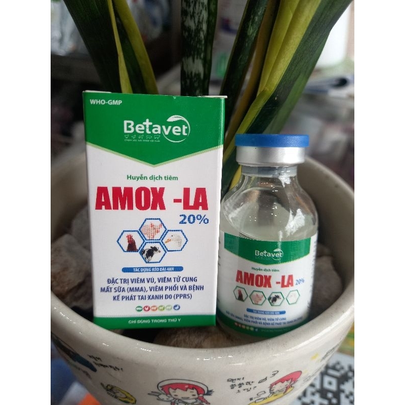 20ml-100ml Amox- LA dùng cho gia súc gia cầm