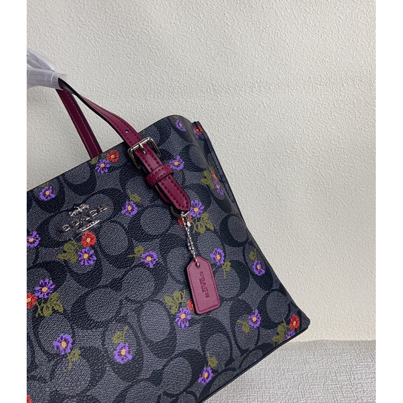 Túi coach mollie tote size 25