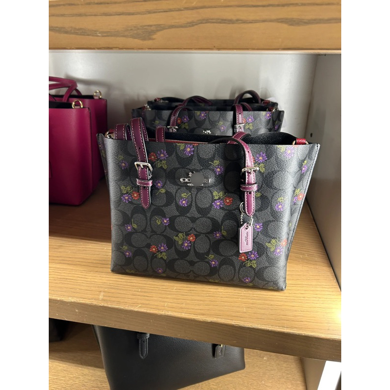Túi coach mollie tote size 25