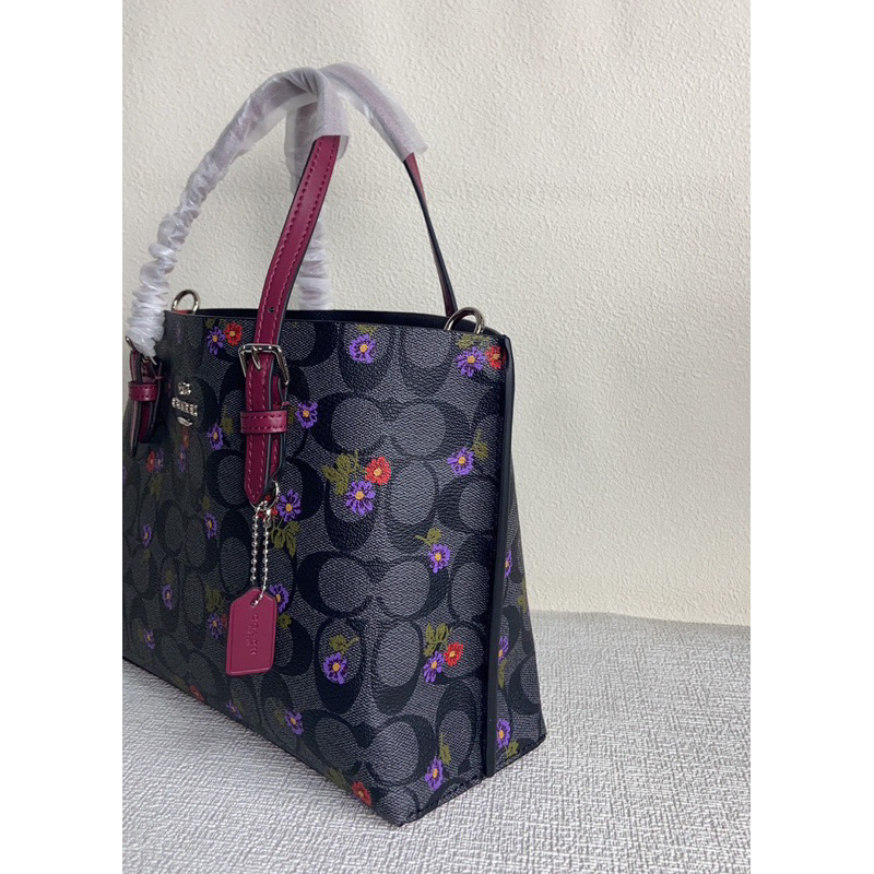Túi coach mollie tote size 25