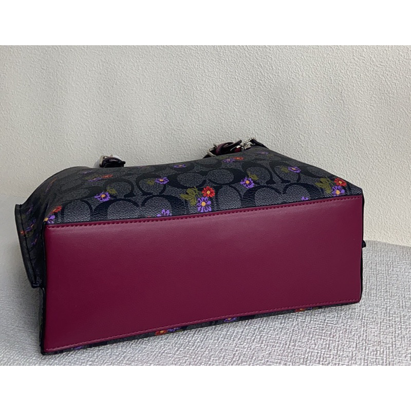 Túi coach mollie tote size 25