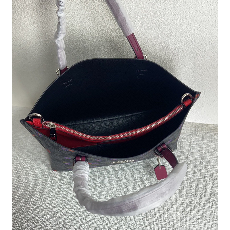 Túi coach mollie tote size 25