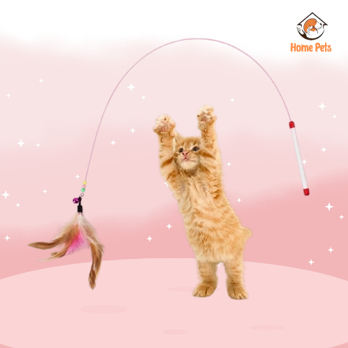 Đồ Chơi Cần Câu Mèo gắn lông vũ, Đồ chơi cho thú cưng dây thép gắn lông vũ giúp mèo giảm stress, tăng hưng phấn