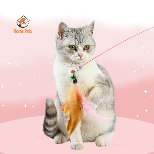 Đồ Chơi Cần Câu Mèo gắn lông vũ, Đồ chơi cho thú cưng dây thép gắn lông vũ giúp mèo giảm stress, tăng hưng phấn
