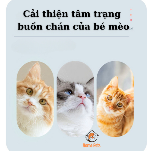 Đồ Chơi Cần Câu Mèo gắn lông vũ, Đồ chơi cho thú cưng dây thép gắn lông vũ giúp mèo giảm stress, tăng hưng phấn