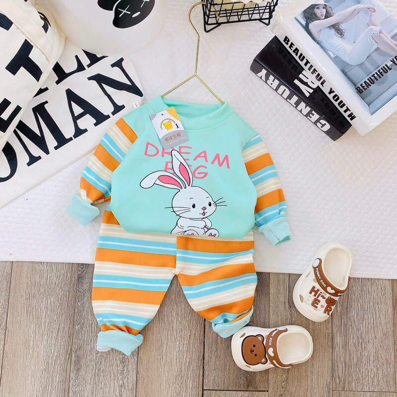 Bộ nỉ bông dày dặn 5-15kg hìn đáng yêu cho be si bé gái t