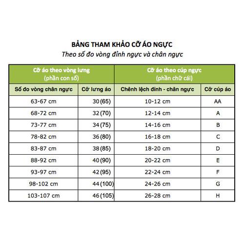 Áo Lót Nữ, Áo Ngực Su Non Quả Chéo Cỏ 4 Lá Đệm Bàn Tay 3cm Không Gọng Đủ Size Từ 34-40 Mẫu Mới Nhất
