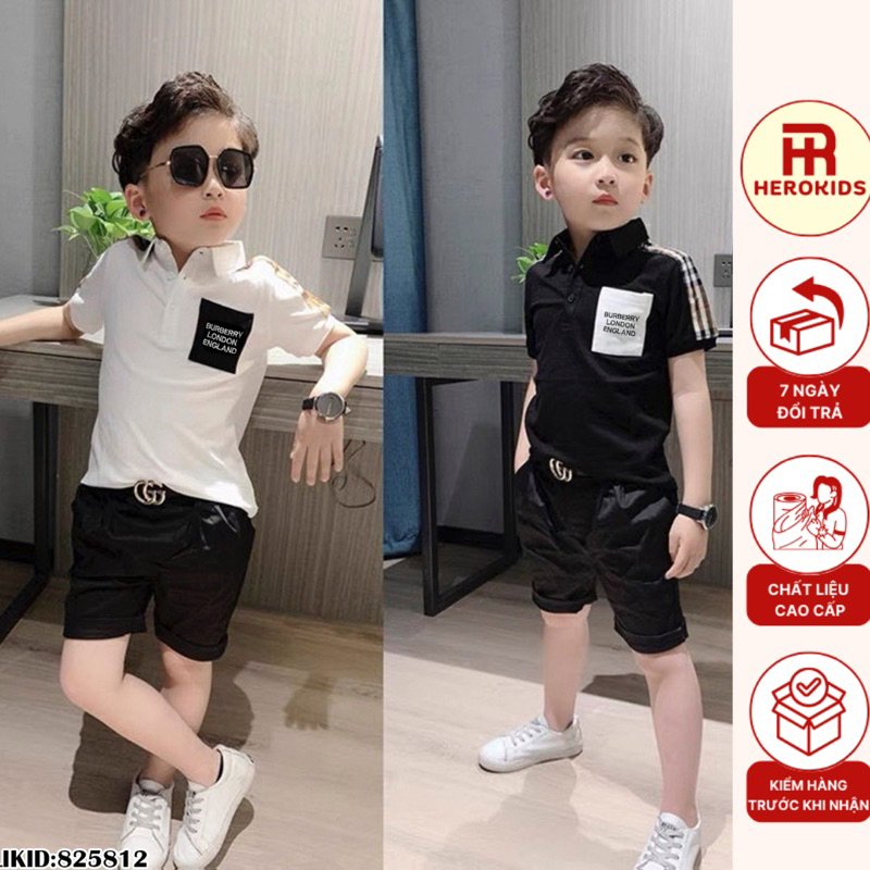 Áo polo vai phối Bb.r túi thêu logo chất poly cá sấu hàng đẹp thấm mút mồ hôi thoáng mát 8258