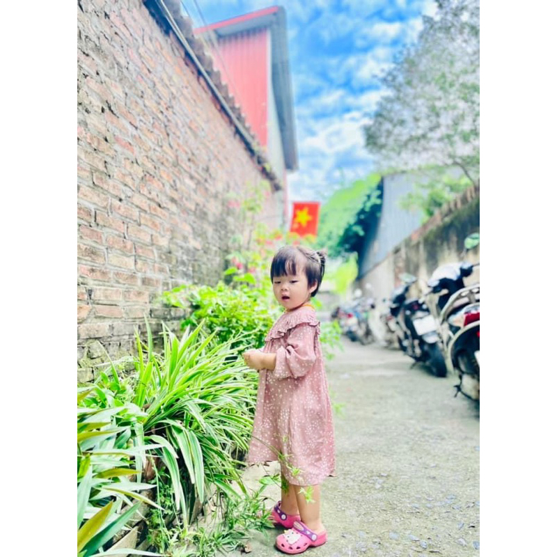 Váy xuông bèo ngực, vai xanh / Hồng