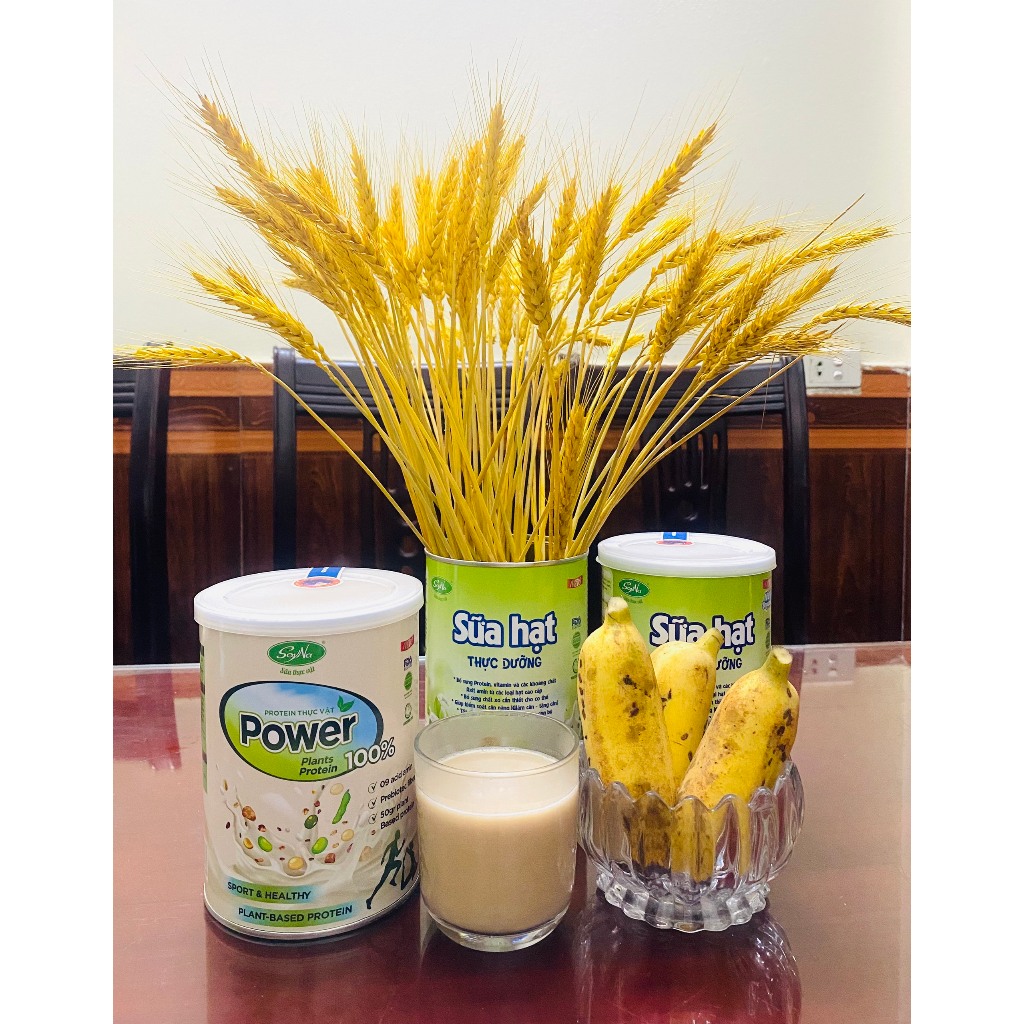Vegan Power Protein Thuần Chay SoyNa - Cung cấp đạm thực vật cho người ăn chay, dân thể thao - Lon 400g