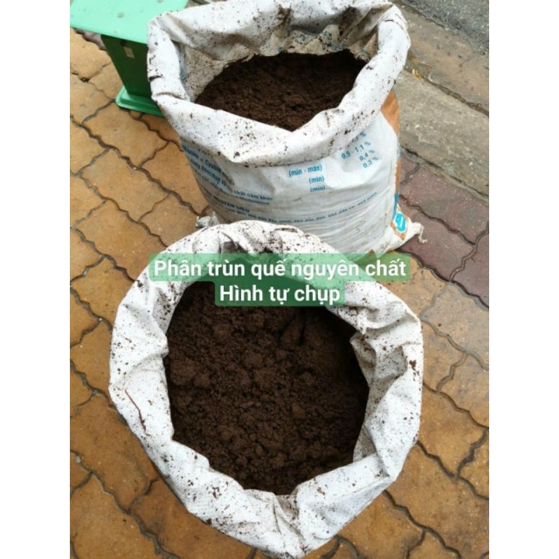[Có giao HOẢ TỐC]