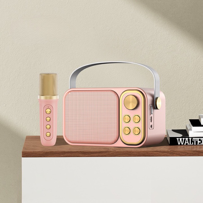 LOA YS-103 KÈM 1 MIC  FULL HỘP