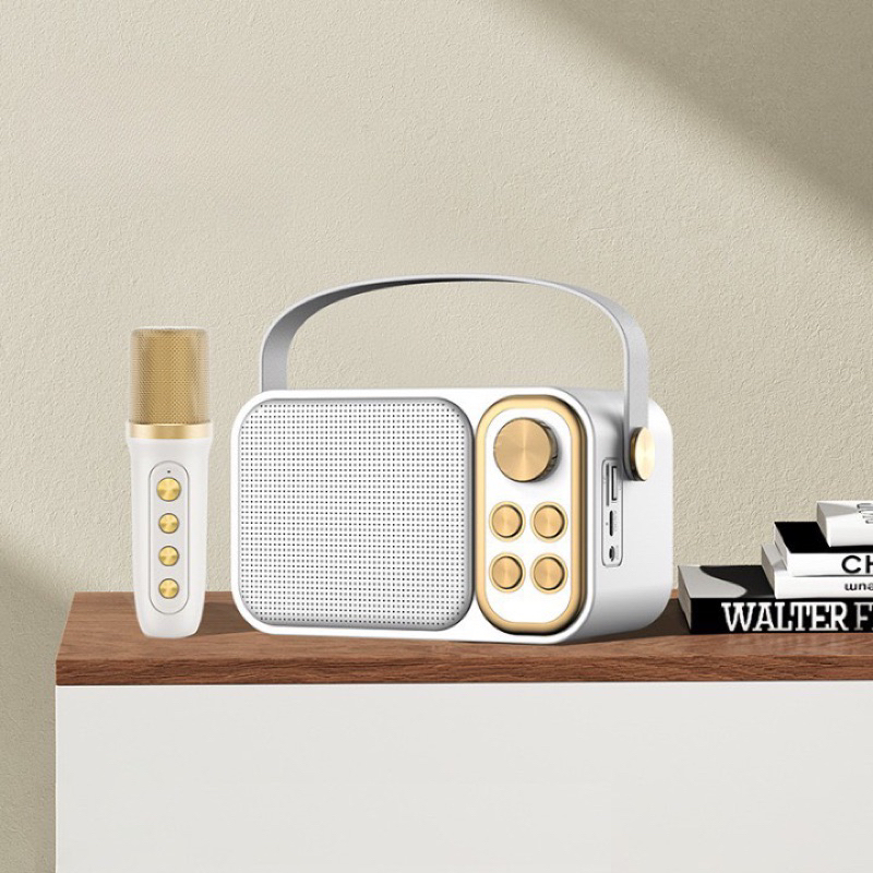 LOA YS-103 KÈM 1 MIC  FULL HỘP