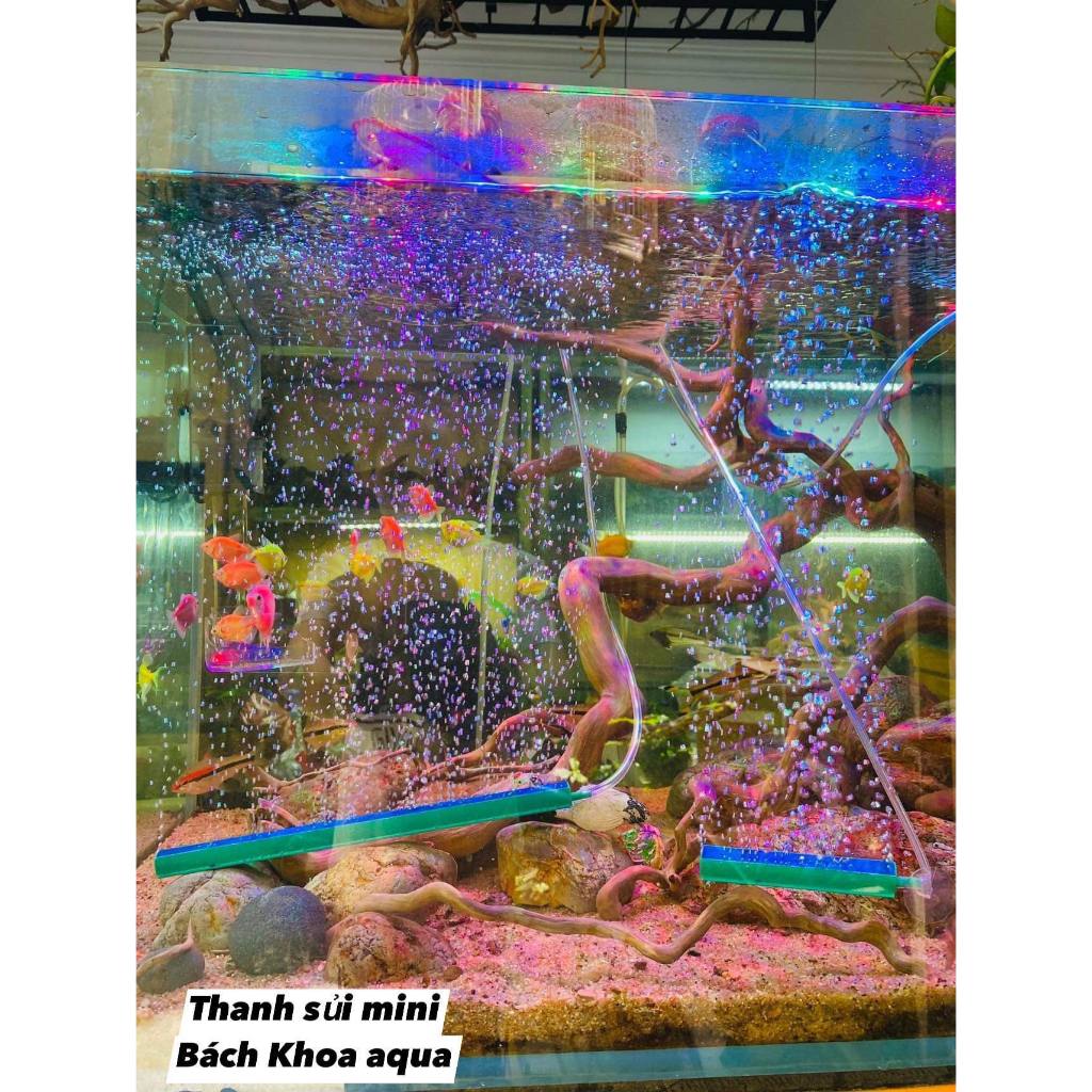 Thanh sủi mini cho bể cá cung cấp oxy và trang trí siêu đẹp