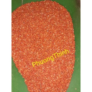1Kg Hạt kê đỏ nhỏ cho chim