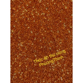 1Kg Hạt kê đỏ lớn dành cho chim