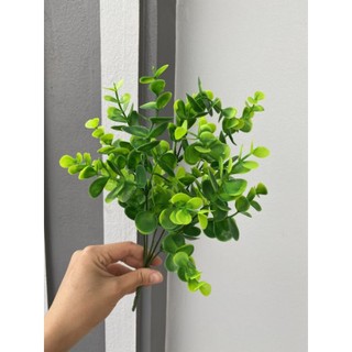Cành hoa điểm táo
