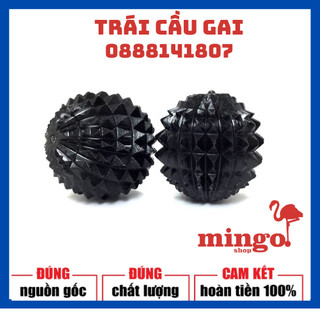 Trái cầu gai- cầu đinh- dụng cụ diện chẩn loại 1