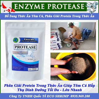 1kg - Enzyme Protease - Enzyme Hàng Nguyên Liệu Nhâp Khẩu Pháp 100%