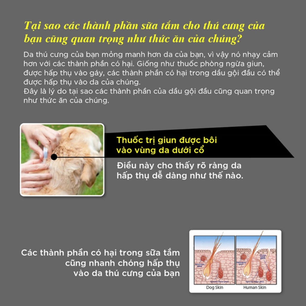 10ml - Sữa tắm cho chó cao cấp HYPONIC Hypoallergenic, dưỡng da và làm mượt lông dành cho mọi loại chó