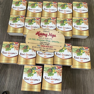 Vital enzymes cho khách thân thiết