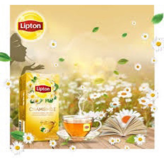 Trà Lipton Hoa Cúc-CHAMOMILE 25 gói Date 16/09/2024