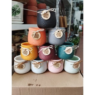 Chậu cây cau tiểu trâm có 2 size nhỏ cao 15cm và nhỡ 25cm để bàn làm việc xinh xinh