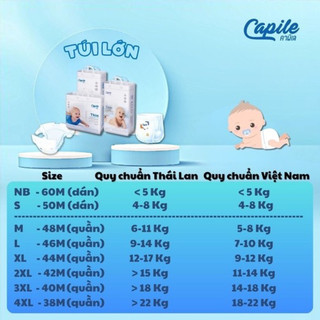 Tã quần Capile nội địa Thái Lan