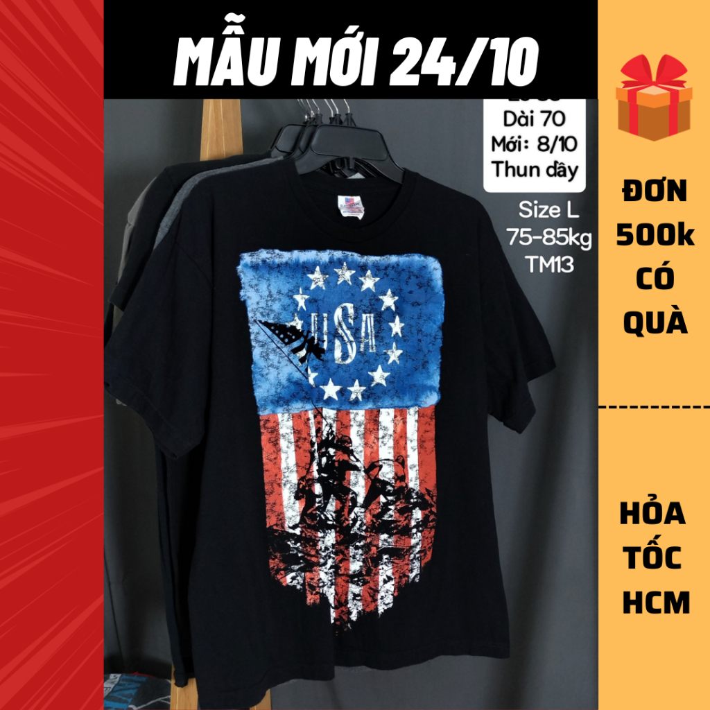 Thun mỹ tay ngắn, áo thun 2hand, áo thun si [Gò Vấp/Hỏa tốc]