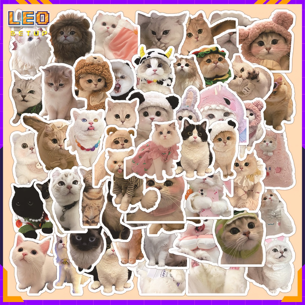 [SET 60] Sticker meme chó mèo hình dán chống thấm nước, miếng dán trang trí điện thoại, laptop, mũ bảo hiểm, sổ tay