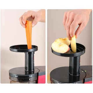 Ống nạp thực phẩm máy ép chậm SAVTM JE07