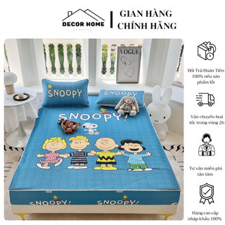 Chiếu điều hòa cao su non bọc chun 5d cao cấp hình disney , chiếu điều hòa tencel latex 5d mát lạnh hình disney