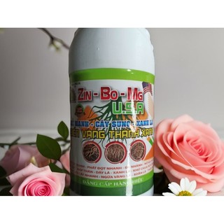 Phân bón Zn-Bo-Mg USA ra rễ cực mạnh,Sung cây xanh lá biến vàng thành xanh