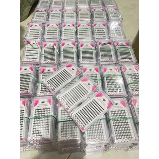 Mi trụ katun 5d (6line)(12line)