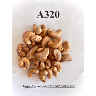 500g hạt điều giống cổ bình phước quandat cashew